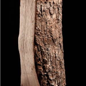 Capture-decran-2021-12-30-a-03.39.39-300x300-1.png Demi palette – Frêne séché au four – 25cm – Image 3
