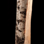 15 sacs de bois de bouleau 100% sec de 8 kg – 25cm – Image 3