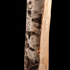 Capture-decran-2021-12-30-a-04.17.30-300x300-1.png 15 sacs de bois de bouleau 100% sec de 8 kg – 25cm – Image 3